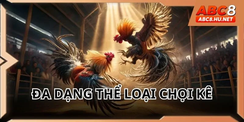 Đa dạng các thể loại chọi kê tại ABC8 để bạn chọn lựa