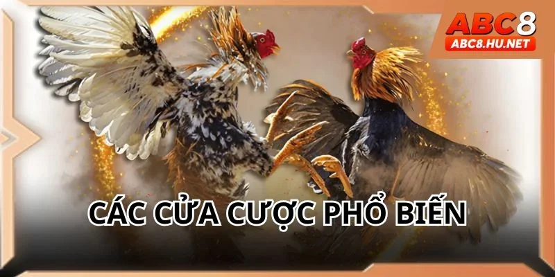 Một vài dòng kèo thường gặp trong trận đấu