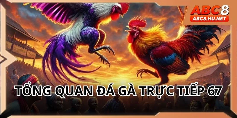 Đá gà trực tiếp 67 vô cùng hấp dẫn tại nhà cái