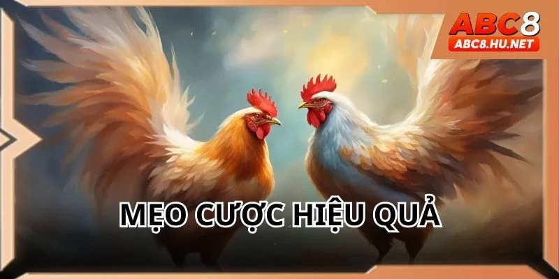 Vận dụng một vài mẹo cược hiệu quả để giành chiến thắng
