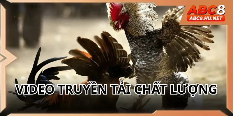 Video truyền tải siêu chất lượng đến người xem 